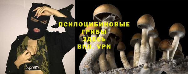 молекула духа Покров