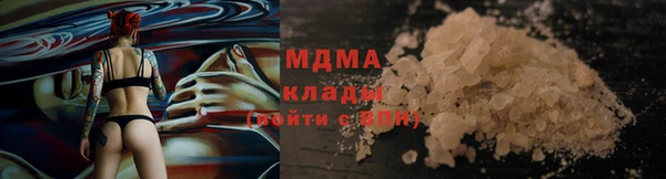 молекула духа Покров