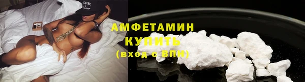 молекула духа Покров