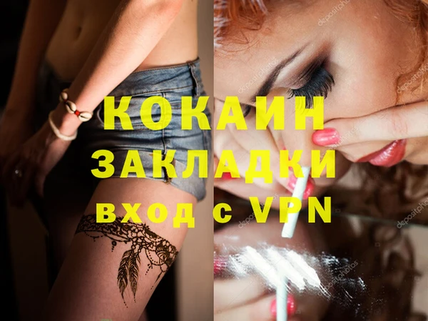 молекула духа Покров