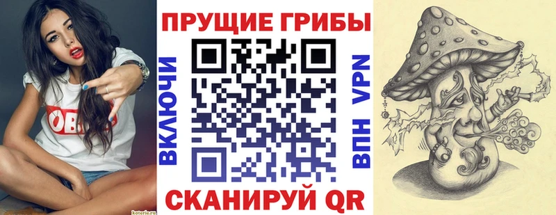 Галлюциногенные грибы ЛСД Полярный